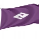 Hokuryū Town Flag for Indoor & Outdoor Use - Imagine 1