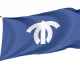 Ichihara Chiba Flag - Imagine 1