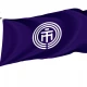 Ichikawa Chiba Flag - Imagine 1