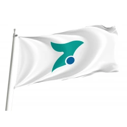 Isumi Chiba Flag