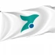 Isumi Chiba Flag - Imagine 1
