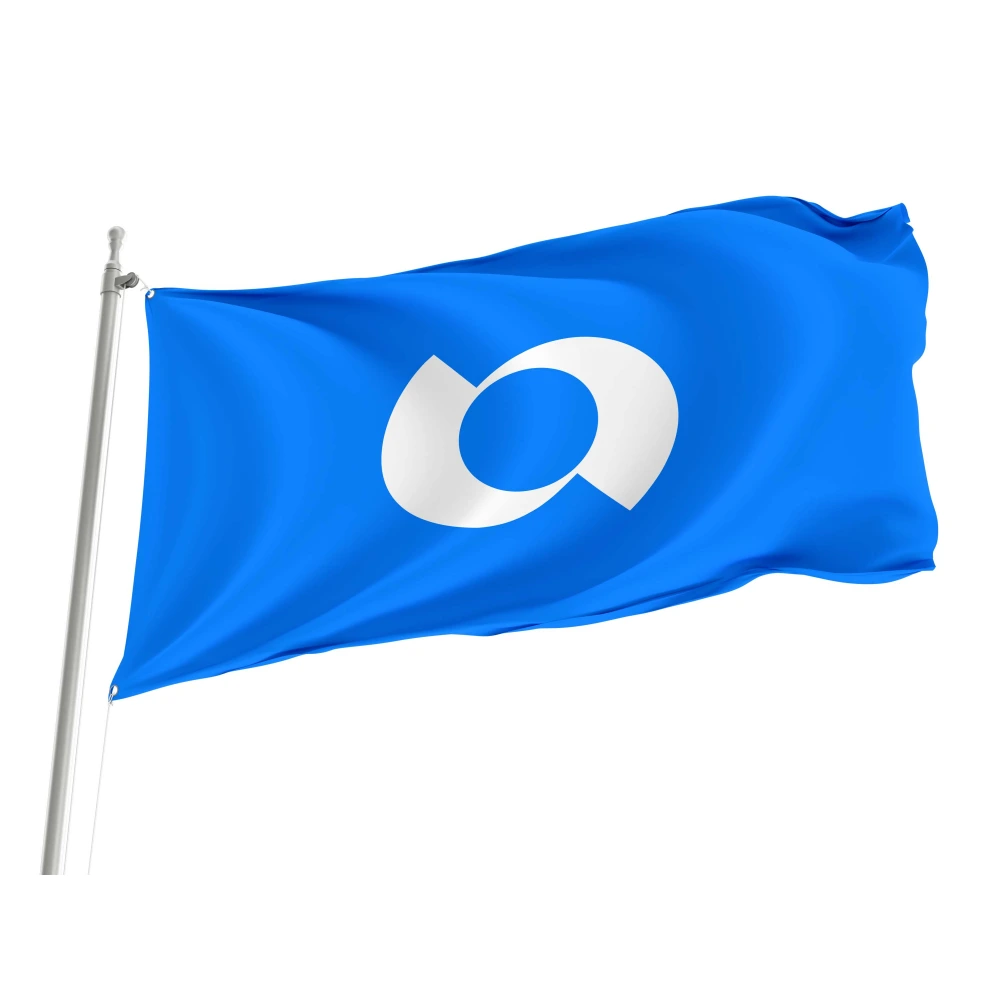 Iwai Ibaraki Flag 1971-2005