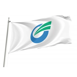 Joso Ibaraki Flag