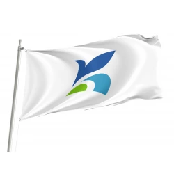 Katori Chiba Flag
