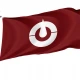 Kochi Prefecture Flag - Imagine 1