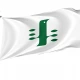 Minami Flag for Indoor & Outdoor Use - Imagine 1