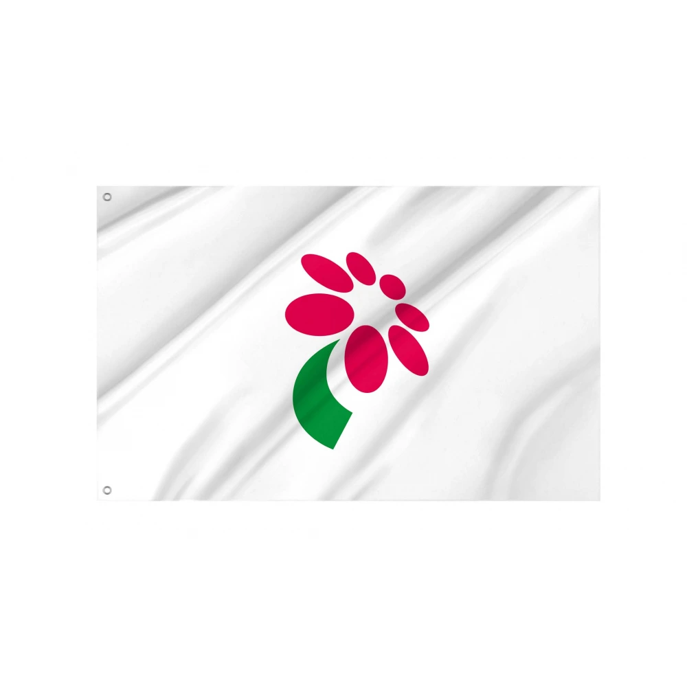 Minamiboso Chiba Flag