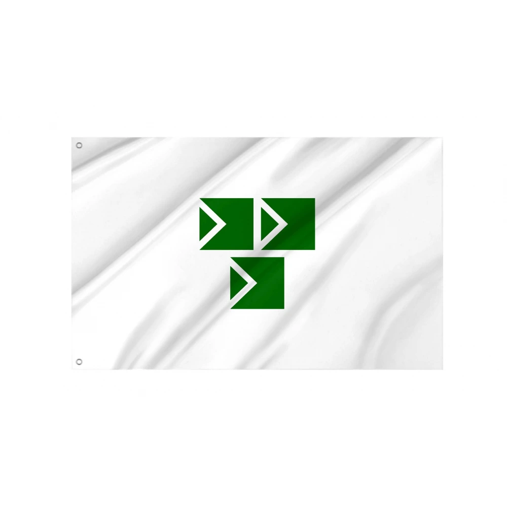 Narashino Chiba Flag