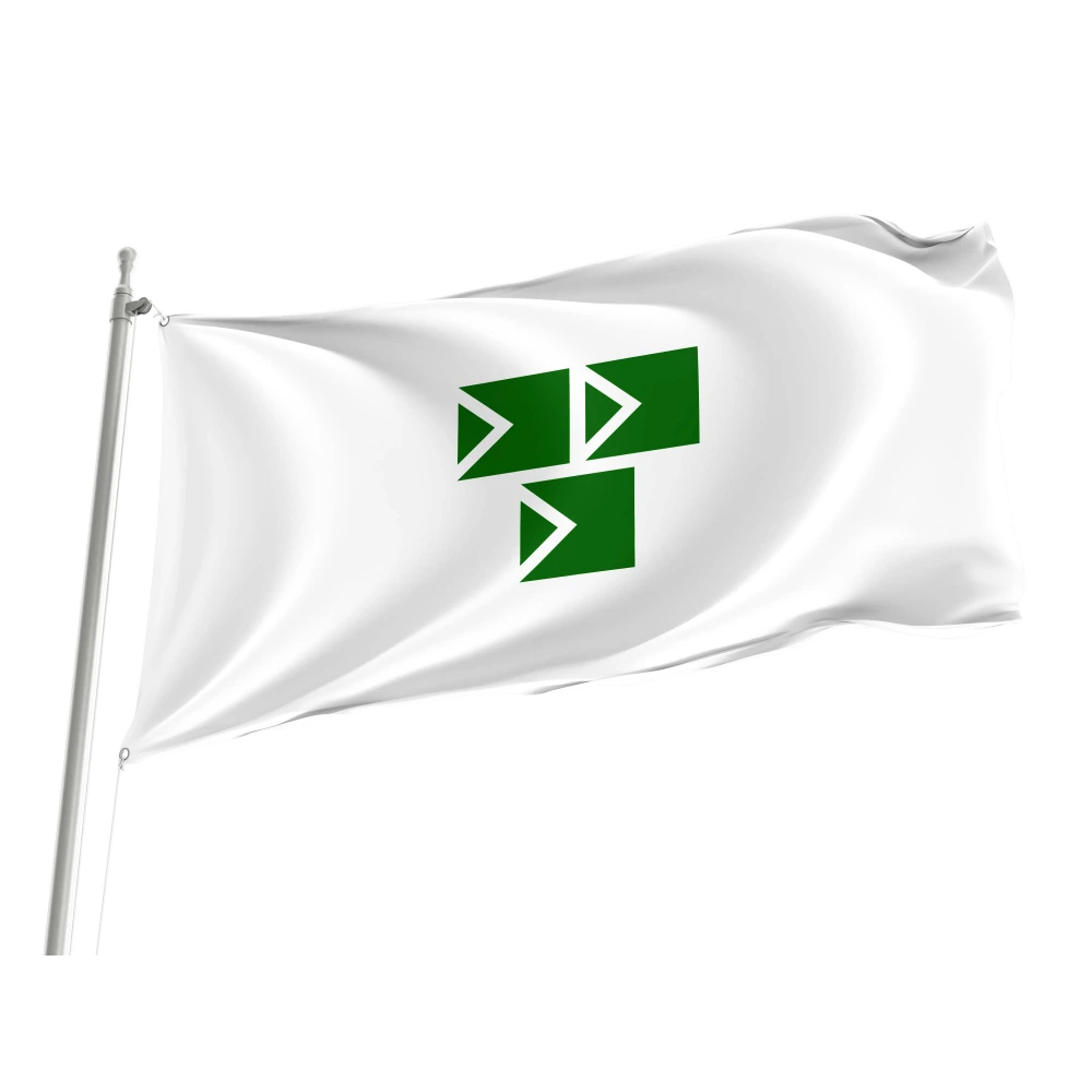 Narashino Chiba Flag