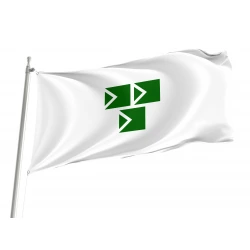 Narashino Chiba Flag