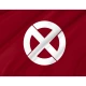 Numata Flag for Indoor & Outdoor Use - Imagine 2