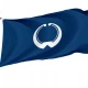 Oamishirasato Chiba Flag - Imagine 1