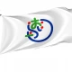 Oirase Aomori Flag for Indoor & Outdoor Use - Imagine 1