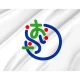 Oirase Aomori Flag for Indoor & Outdoor Use - Imagine 2