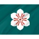 Saga Prefecture Flag - Imagine 2