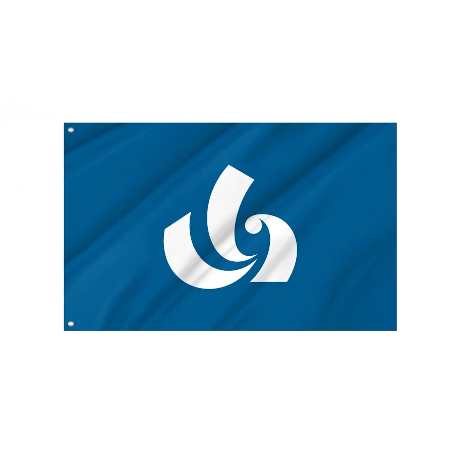 Sanmu Chiba municipal flag