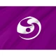 Shibukawa Gunma Flag - Imagine 2