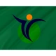Shichinohe Aomori Flag for Indoor & Outdoor Use - Imagine 2