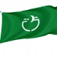 Sodegaura Chiba Flag - Imagine 1