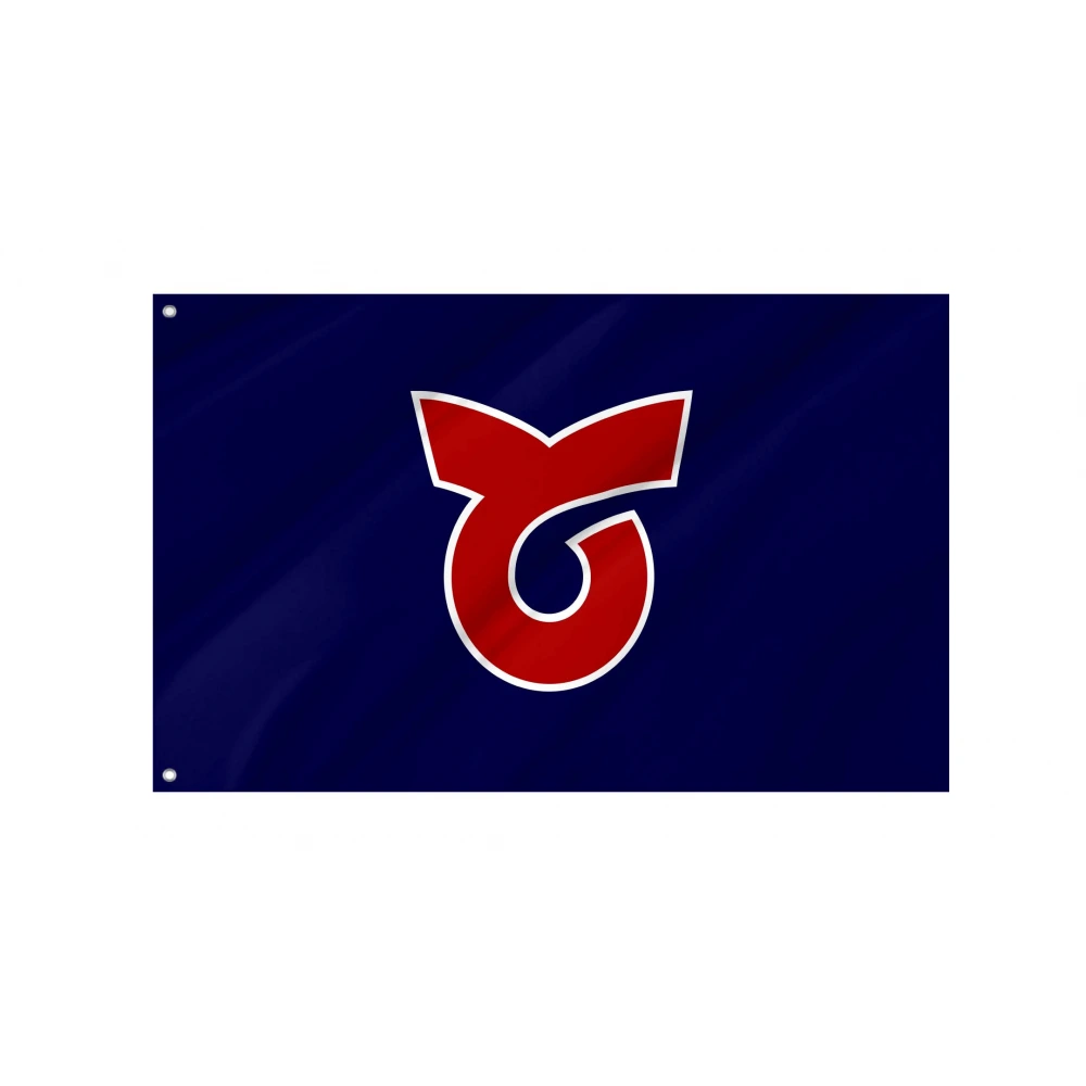 Toi Flag for Indoor & Outdoor Use