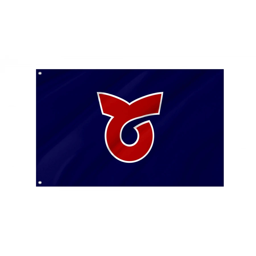 Toi Flag for Indoor & Outdoor Use, JPN241