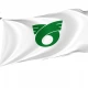 Tokai Ibaraki Flag - Imagine 1