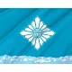 Toyama City Flag - Imagine 2