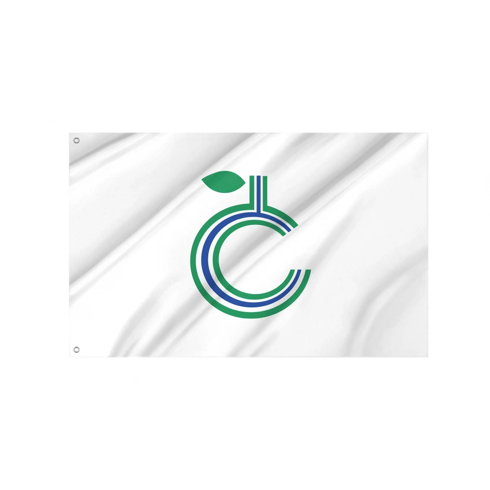 Toyohira Flag for Indoor & Outdoor Use