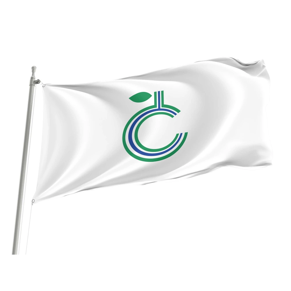 Toyohira Flag for Indoor & Outdoor Use