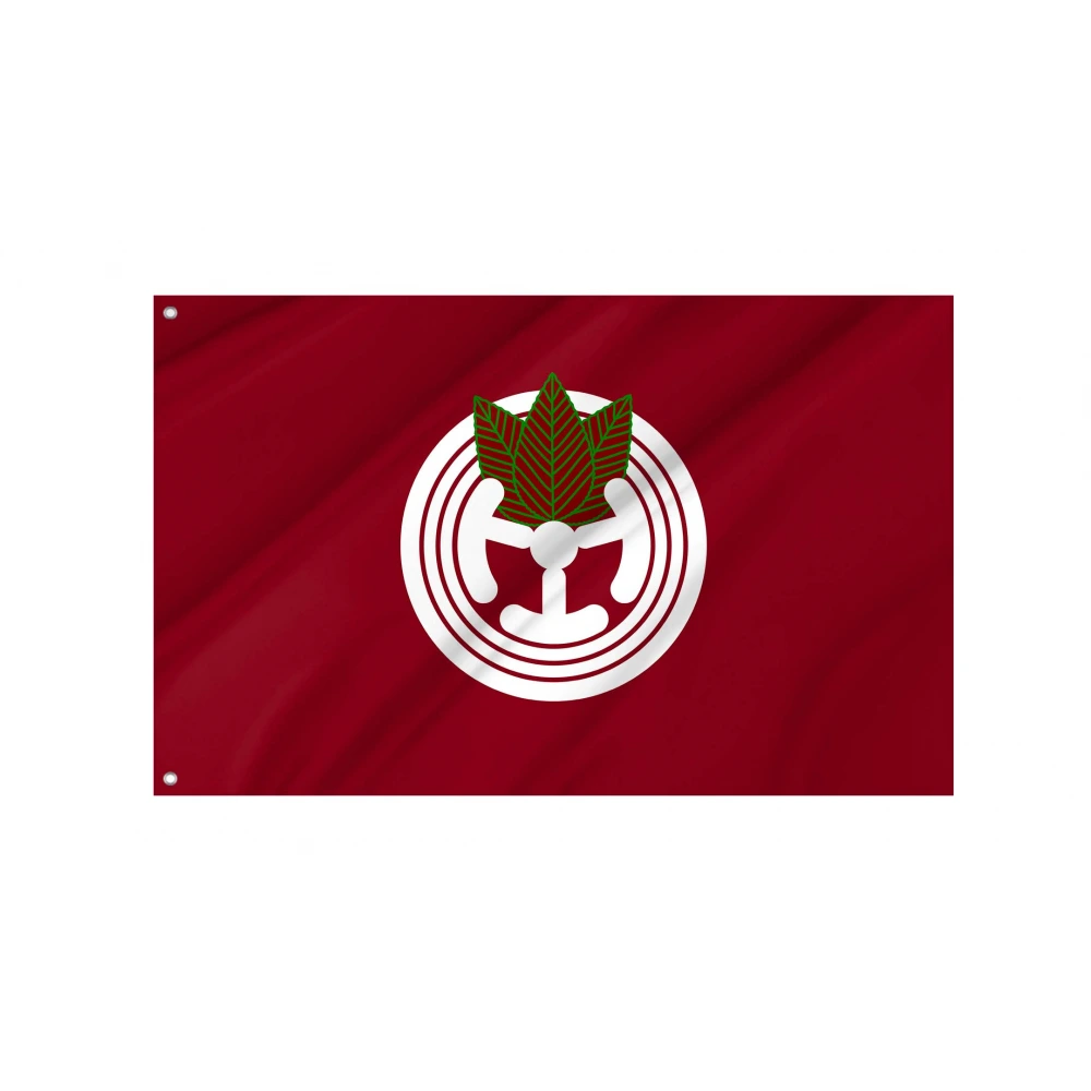 Toyotomi Flag for Indoor & Outdoor Use
