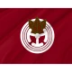 Toyotomi Flag for Indoor & Outdoor Use - Imagine 2