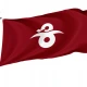 Yachiyo Ibaraki Flag - Imagine 1
