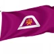 Yamanashi Prefecture Flag - Imagine 1