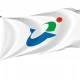 Yokoshibahikari Chiba Flag - Imagine 1