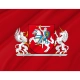 President of Lithuania Flag for Indoor & Outdoor Use - Imagine 2