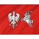 Central Lithuania 1920 Flag for Indoor & Outdoor Use - Imagine 2