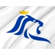 Luxembourg City Flag for Indoor & Outdoor Use - Imagine 2