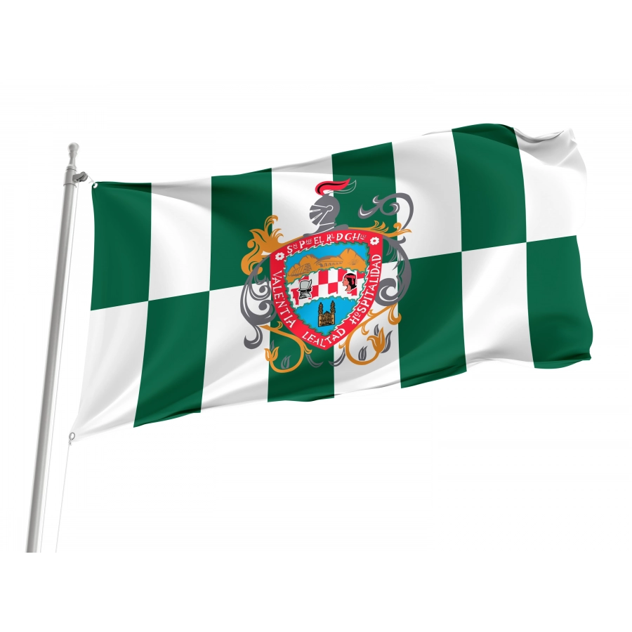 Flag of Chihuahua City, Patriotic Flags, Unique Design Print, Flags for Indoor & Outdoor Use