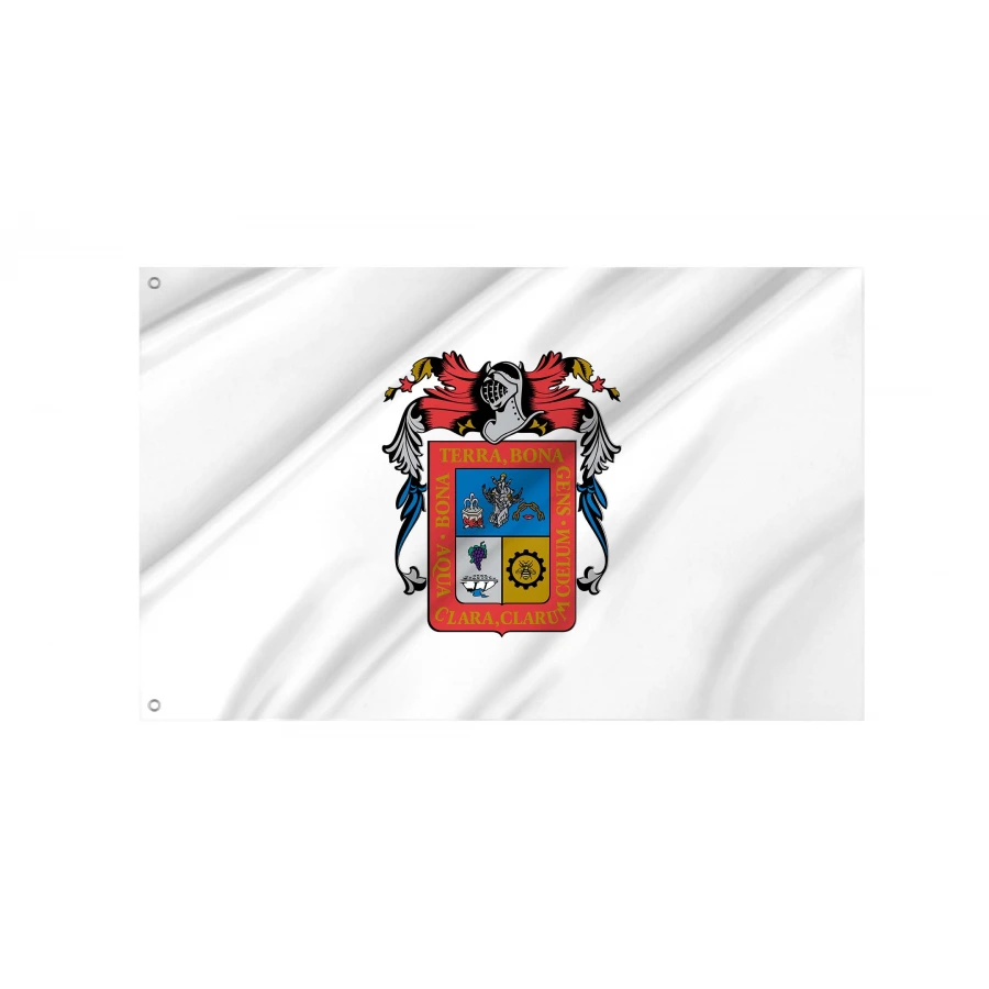 Aguascalientes Flag for Indoor & Outdoor Use, MEX11