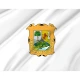 Coahuila State Flag - Imagine 2