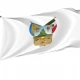 Hidalgo State Flag - Imagine 1