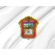 Mexico State Flag - Imagine 2