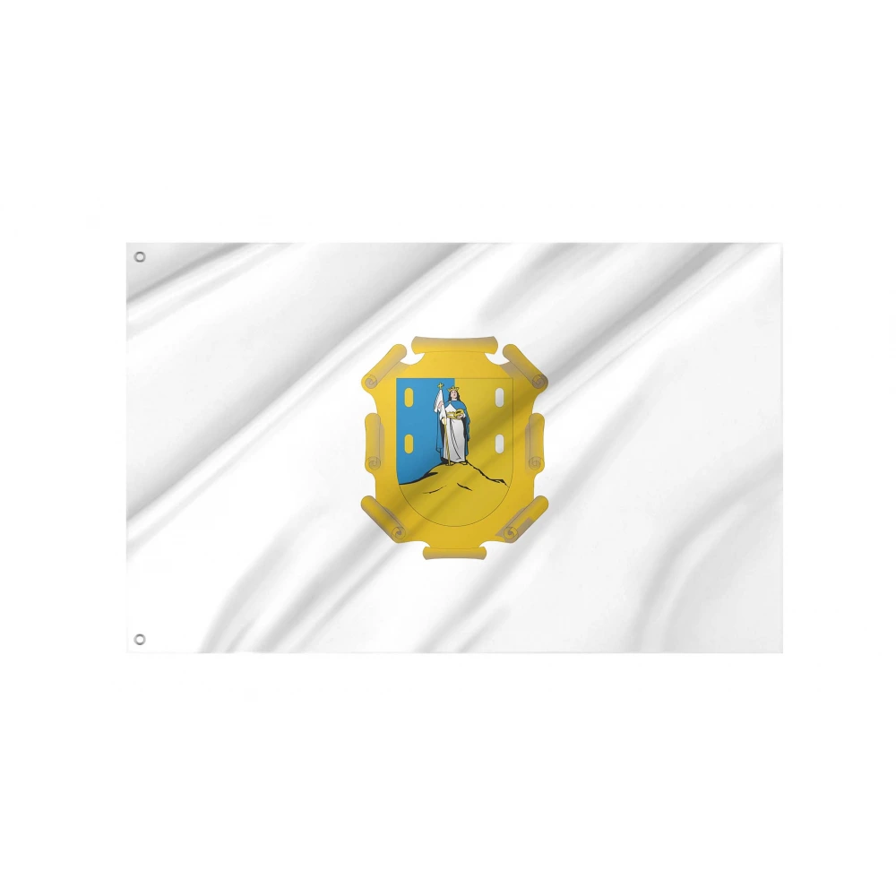 San Luis Potosí State Flag for Indoor & Outdoor Use