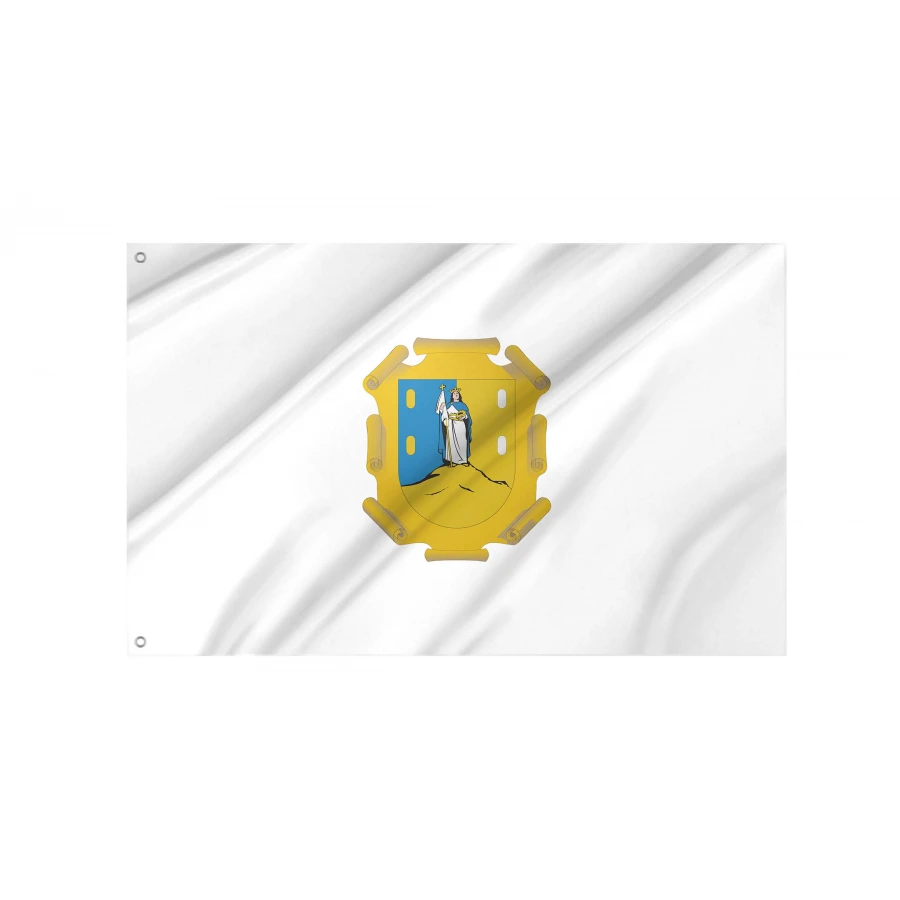 San Luis Potosí State Flag for Indoor & Outdoor Use, MEX31