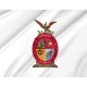 Sinaloa State Flag - Imagine 2