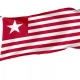 Colonel James Long's Flag for Indoor & Outdoor Use - Imagine 1