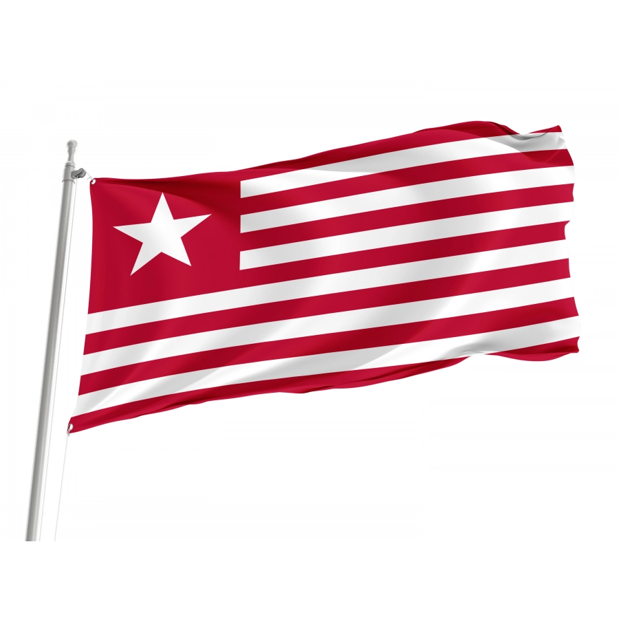 Colonel James Long's Flag, Patriotic Flags, Unique Design Print, Flags for Indoor & Outdoor Use