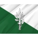 Guyana Defence Force Agri Corps Flag for Indoor & Outdoor Use - Imagine 2