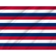 Fort Mifflin Flag for Indoor & Outdoor Use - Imagine 2