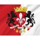 Lille Coat of Arms Flag for Indoor & Outdoor Use - Imagine 2